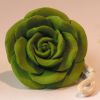 geurbloem_roos_rood